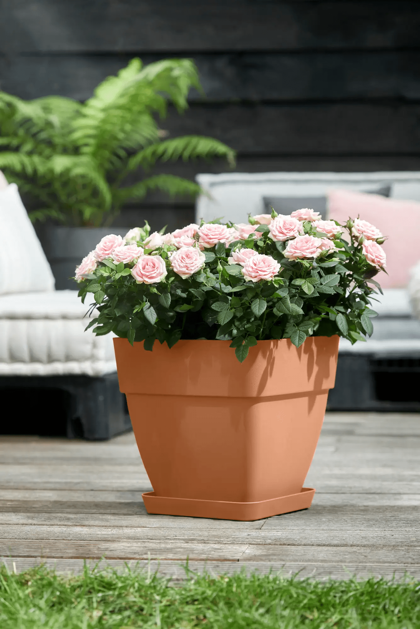 Loft Urban Saucer Square 22 (Terra) - Rathwood Store