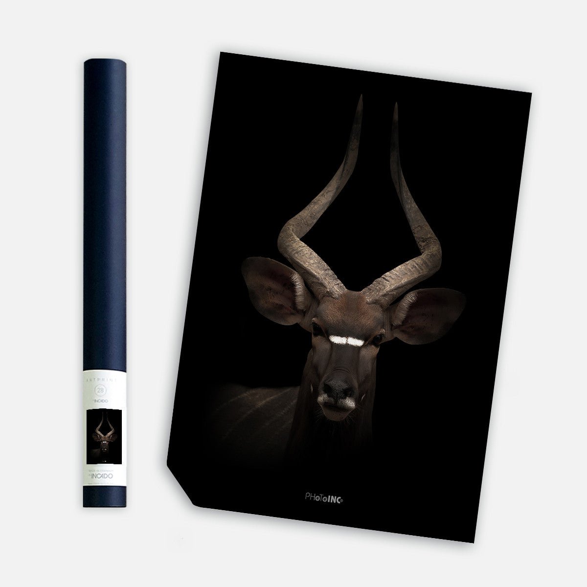 Look Into My Eyes, 50cmx70cm wall art - Rathwood Store