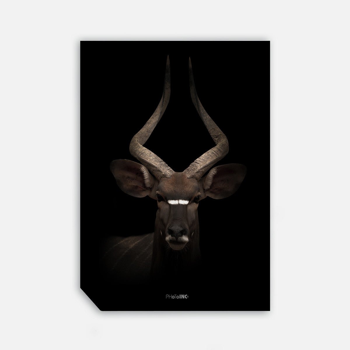 Look Into My Eyes, 50cmx70cm wall art - Rathwood Store