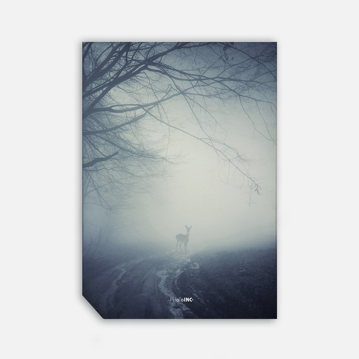Misty Road, 50cmx70cm wall art - Rathwood Store