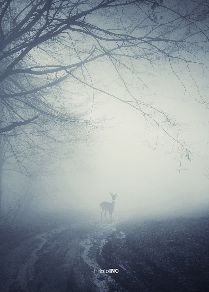 Misty Road, 50cmx70cm wall art - Rathwood Store