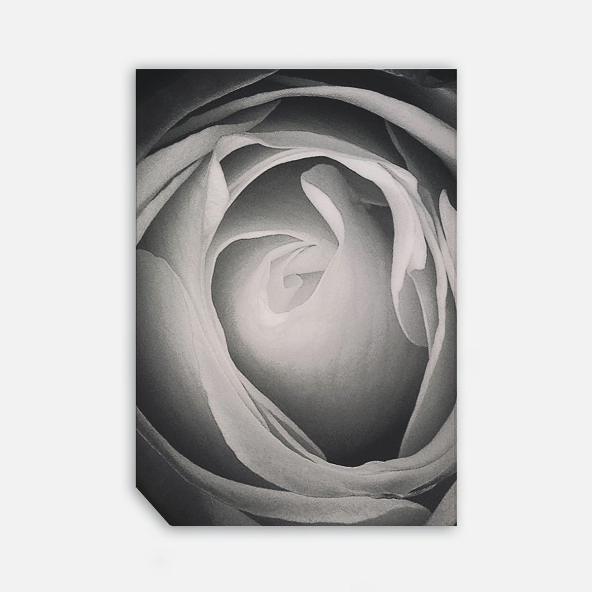 Nicole Gadiel, 50cmx70cm wall art - Rathwood Store