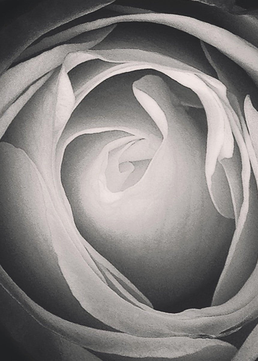 Nicole Gadiel, 50cmx70cm wall art - Rathwood Store