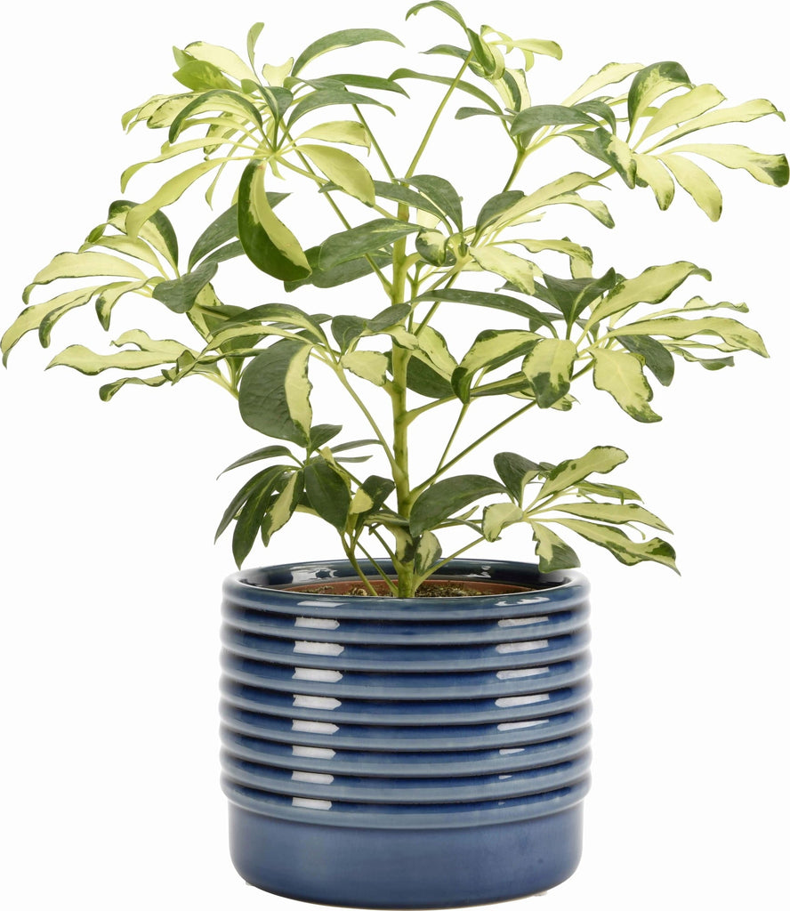 Oslo - Blue - D 17cm - Rathwood Store