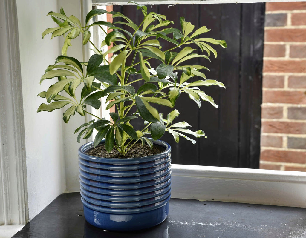Oslo - Blue - D 17cm - Rathwood Store