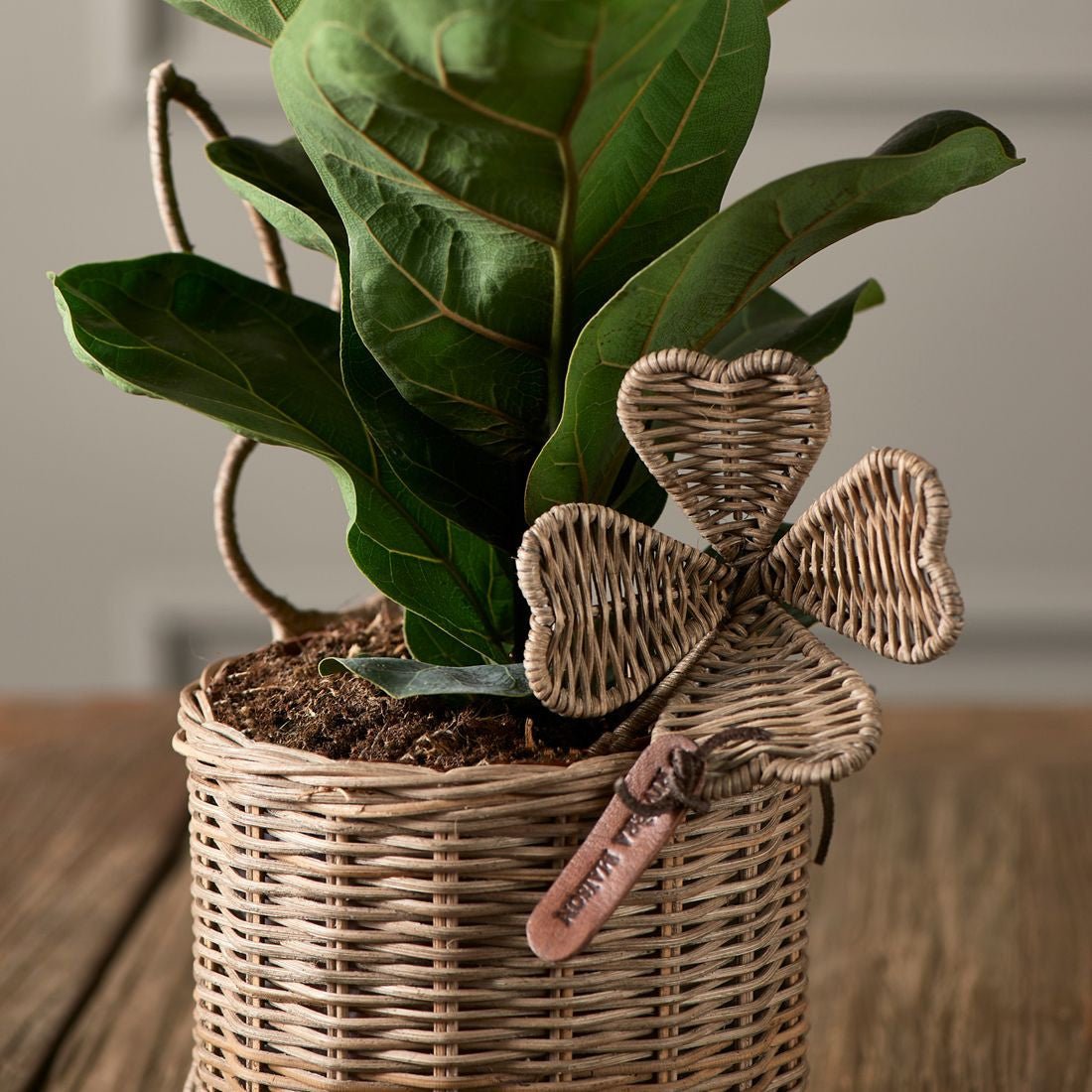RM Lucky Rattan Clover - Rathwood Store