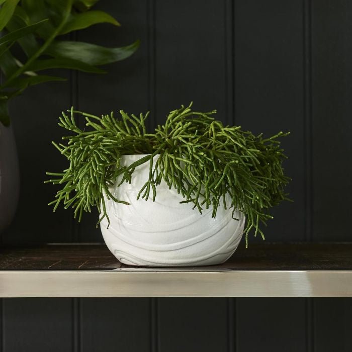 RM Madison Planter - Rathwood Store