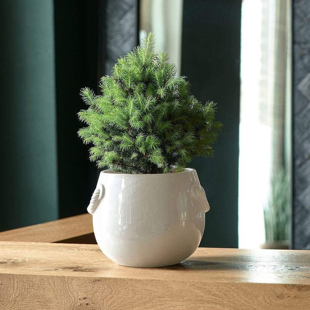 RM Yorkville Planter off - white S - Rathwood Store