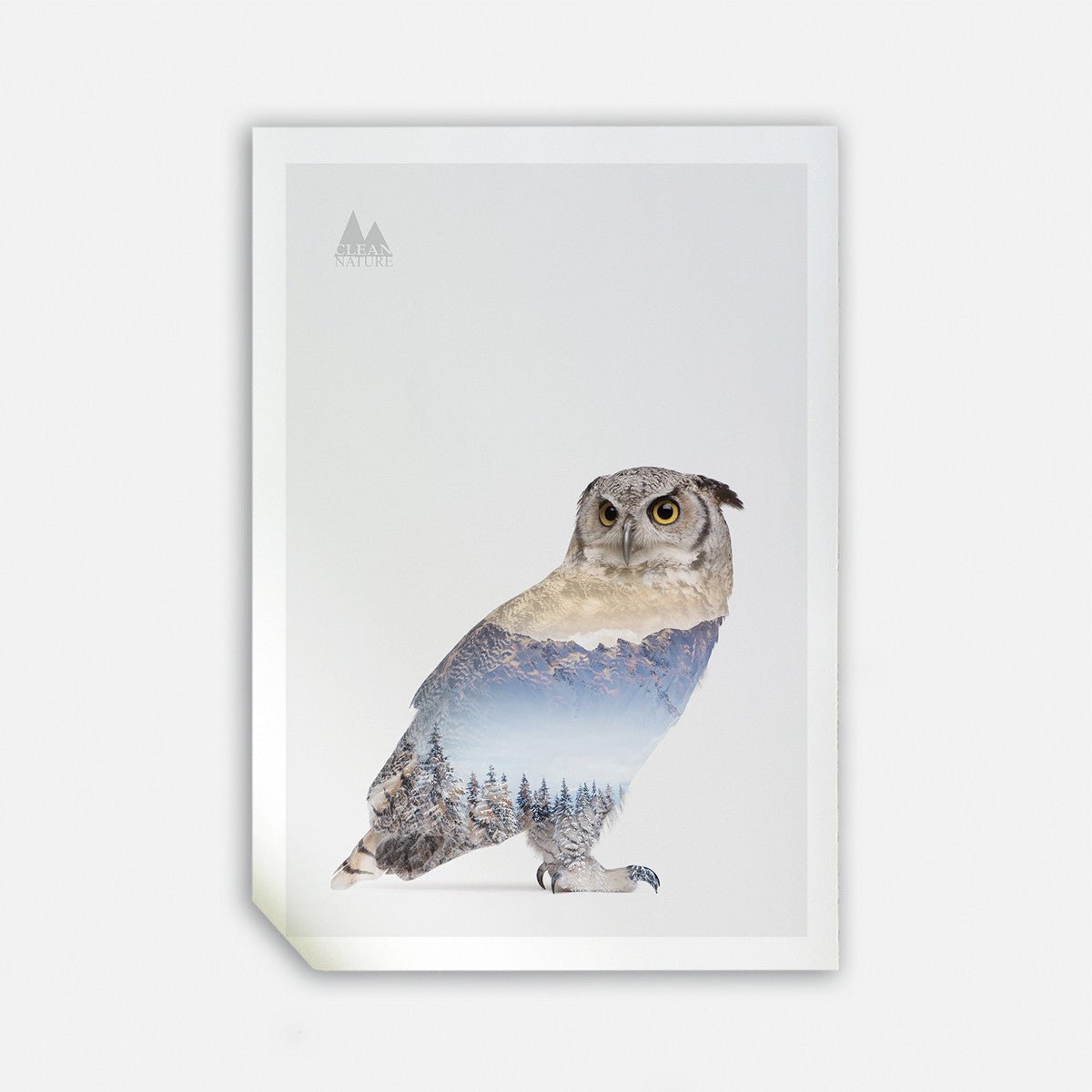 Snow Owl I, 50cmx70cm wall art - Rathwood Store