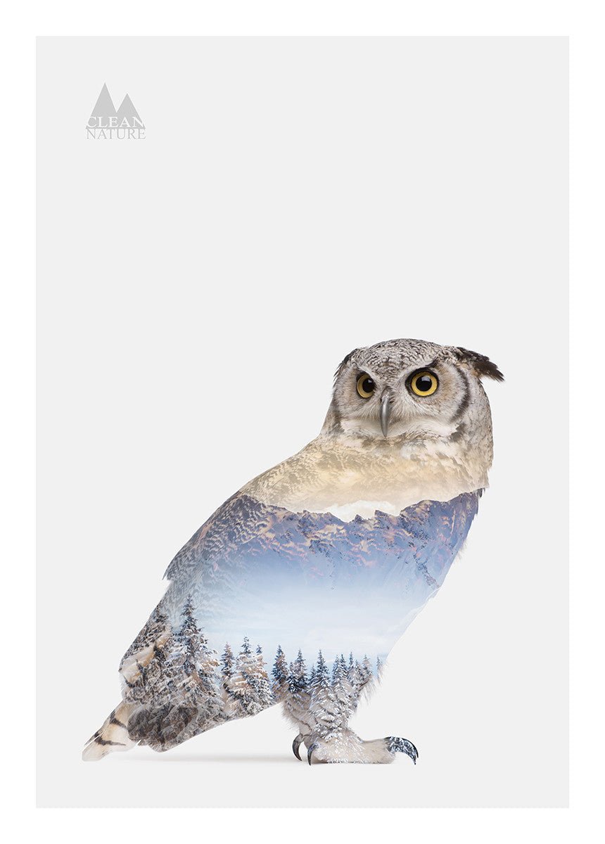 Snow Owl I, 50cmx70cm wall art - Rathwood Store