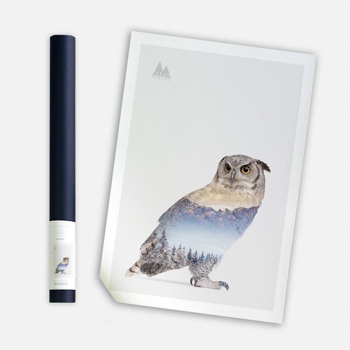 Snow Owl I, 50cmx70cm wall art - Rathwood Store