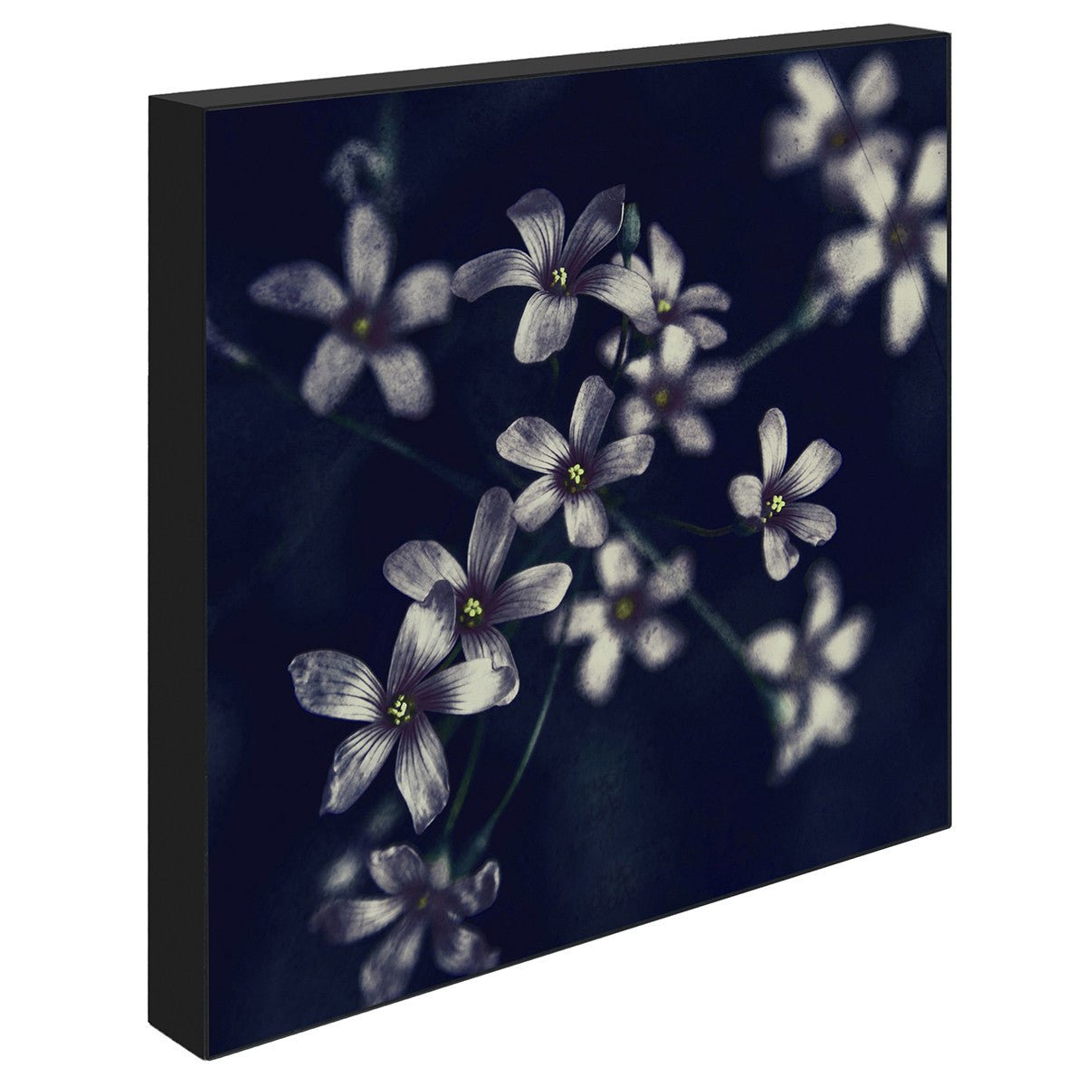 Spring, 15cmx15cm art block - Rathwood Store