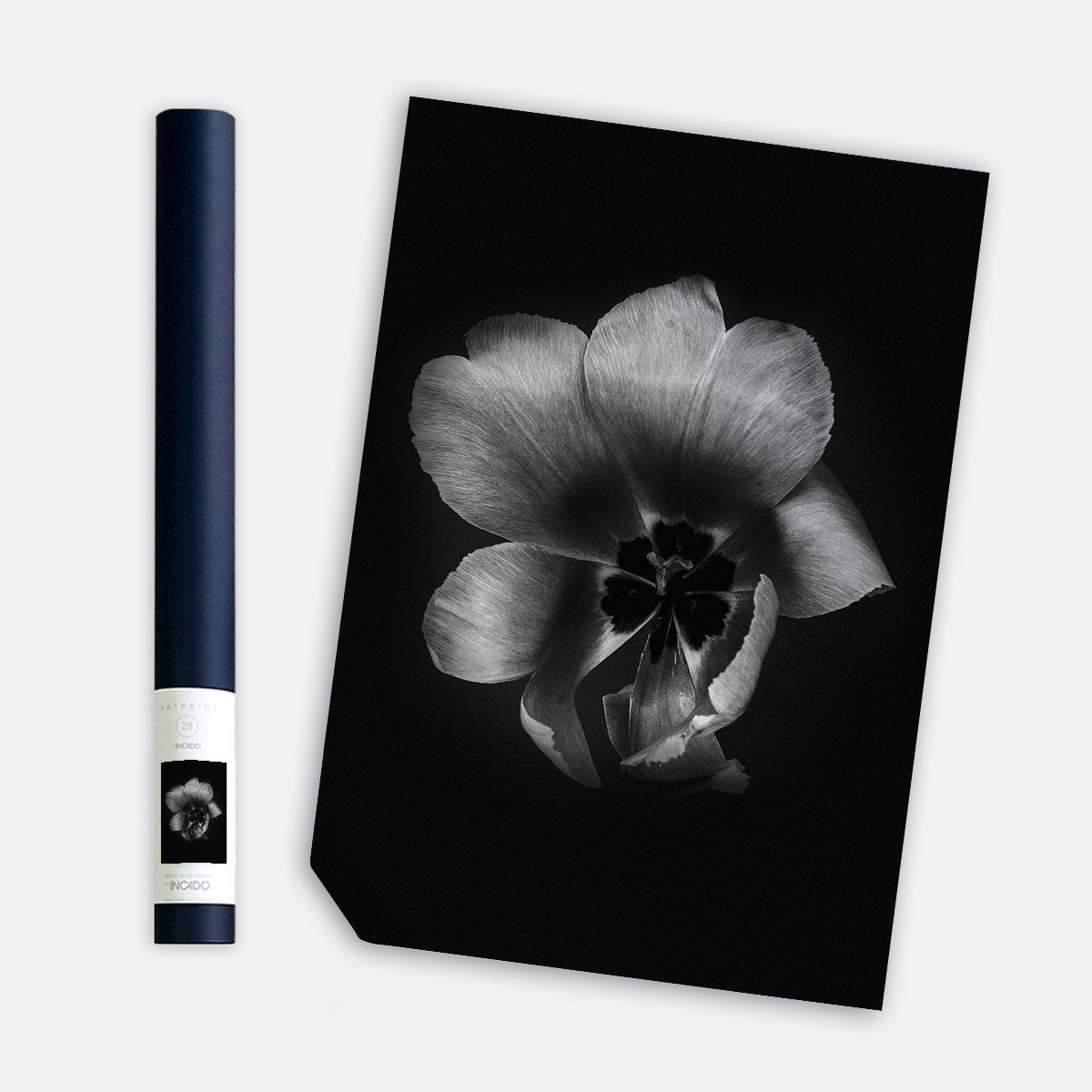 Tulip Life III, 50cmx70cm wall art - Rathwood Store